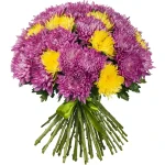 Хризантемы одноголовые светлый микс