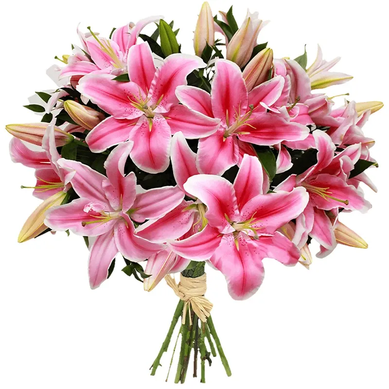 Лилия розовая